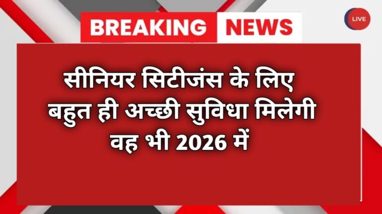 WhatsApp Image 2026-02-13 at 19.53.12